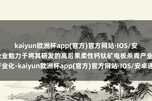 kaiyun欧洲杯app(官方)官方网站·IOS/安卓通用版/手机APP下载企业勉力于将其研发的高后果柔性钙钛矿电板杀青产业化-kaiyun欧洲杯app(官方)官方网站·IOS/安卓通用版/手机APP下载