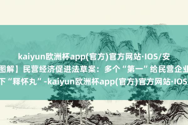 kaiyun欧洲杯app(官方)官方网站·IOS/安卓通用版/手机APP下载【图解】民营经济促进法草案：多个“第一”给民营企业吃下“释怀丸”-kaiyun欧洲杯app(官方)官方网站·IOS/安卓通用