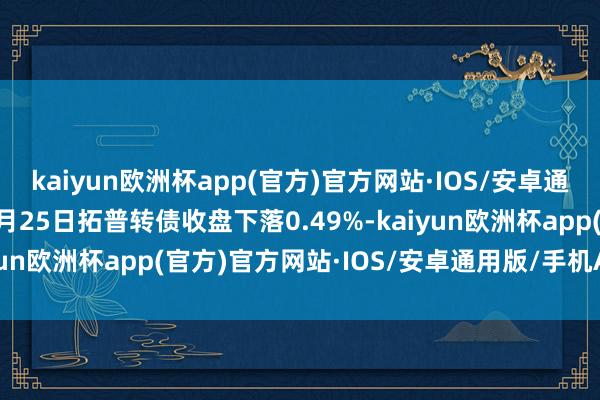 kaiyun欧洲杯app(官方)官方网站·IOS/安卓通用版/手机APP下载12月25日拓普转债收盘下落0.49%-kaiyun欧洲杯app(官方)官方网站·IOS/安卓通用版/手机APP下载