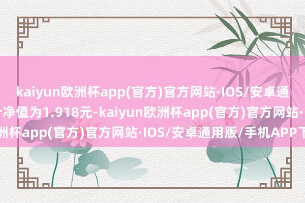 kaiyun欧洲杯app(官方)官方网站·IOS/安卓通用版/手机APP下载累计净值为1.918元-kaiyun欧洲杯app(官方)官方网站·IOS/安卓通用版/手机APP下载