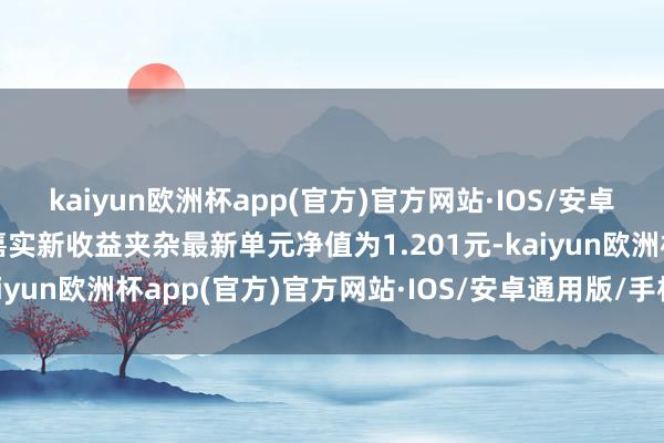 kaiyun欧洲杯app(官方)官方网站·IOS/安卓通用版/手机APP下载嘉实新收益夹杂最新单元净值为1.201元-kaiyun欧洲杯app(官方)官方网站·IOS/安卓通用版/手机APP下载