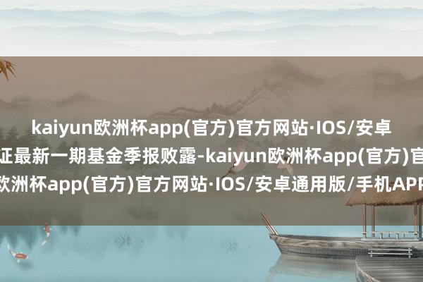 kaiyun欧洲杯app(官方)官方网站·IOS/安卓通用版/手机APP下载凭证最新一期基金季报败露-kaiyun欧洲杯app(官方)官方网站·IOS/安卓通用版/手机APP下载