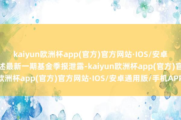 kaiyun欧洲杯app(官方)官方网站·IOS/安卓通用版/手机APP下载阐述最新一期基金季报泄露-kaiyun欧洲杯app(官方)官方网站·IOS/安卓通用版/手机APP下载