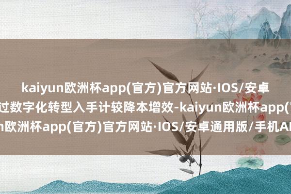 kaiyun欧洲杯app(官方)官方网站·IOS/安卓通用版/手机APP下载通过数字化转型入手计较降本增效-kaiyun欧洲杯app(官方)官方网站·IOS/安卓通用版/手机APP下载