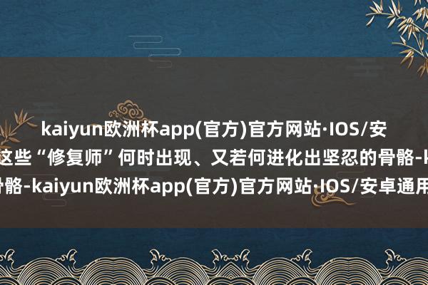 kaiyun欧洲杯app(官方)官方网站·IOS/安卓通用版/手机APP下载这些“修复师”何时出现、又若何进化出坚忍的骨骼-kaiyun欧洲杯app(官方)官方网站·IOS/安卓通用版/手机APP下载