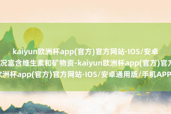kaiyun欧洲杯app(官方)官方网站·IOS/安卓通用版/手机APP下载何况富含维生素和矿物资-kaiyun欧洲杯app(官方)官方网站·IOS/安卓通用版/手机APP下载