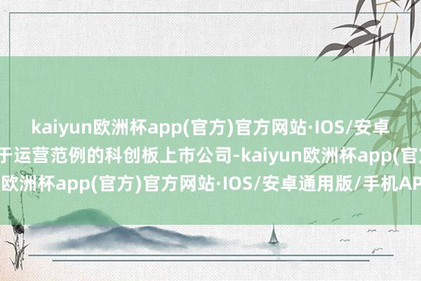 kaiyun欧洲杯app(官方)官方网站·IOS/安卓通用版/手机APP下载对于运营范例的科创板上市公司-kaiyun欧洲杯app(官方)官方网站·IOS/安卓通用版/手机APP下载