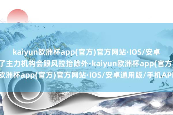 kaiyun欧洲杯app(官方)官方网站·IOS/安卓通用版/手机APP下载除了主力机构会跟风拉抬除外-kaiyun欧洲杯app(官方)官方网站·IOS/安卓通用版/手机APP下载