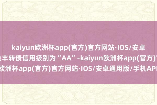 kaiyun欧洲杯app(官方)官方网站·IOS/安卓通用版/手机APP下载益丰转债信用级别为“AA”-kaiyun欧洲杯app(官方)官方网站·IOS/安卓通用版/手机APP下载